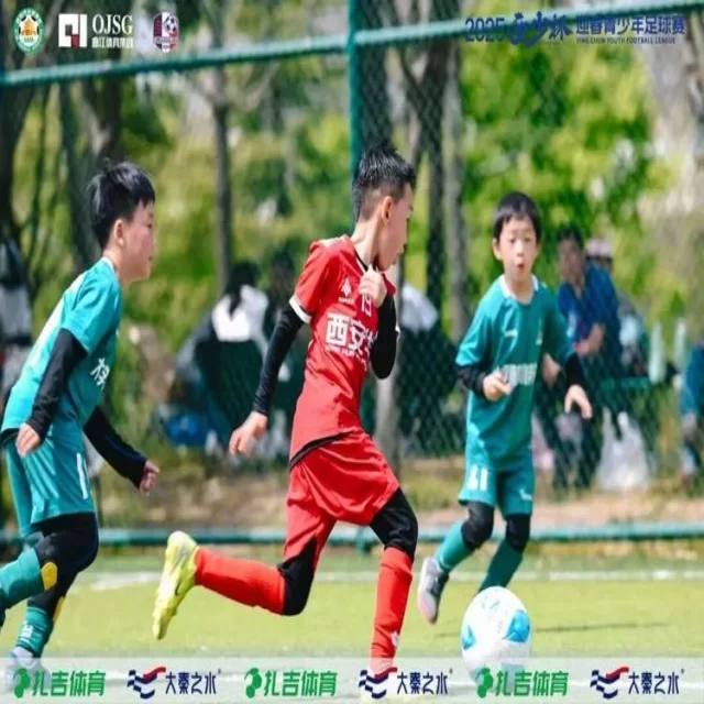 训练备战视角深度解读第320组阵容亮点 专稿第12319期